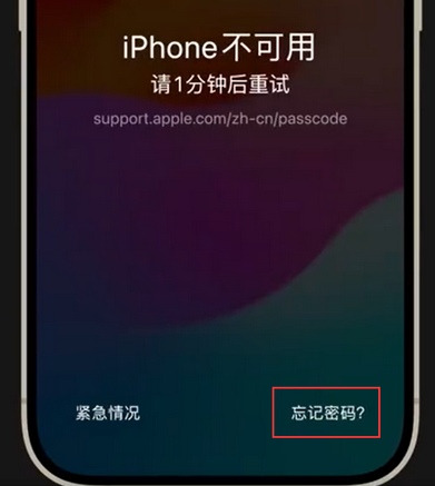 阳东苹果手机密码维修分享iPhone忘记了刚设置的密码 