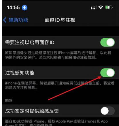 阳东苹果14维修网点分享iPhone14注视感知功能有什么用 